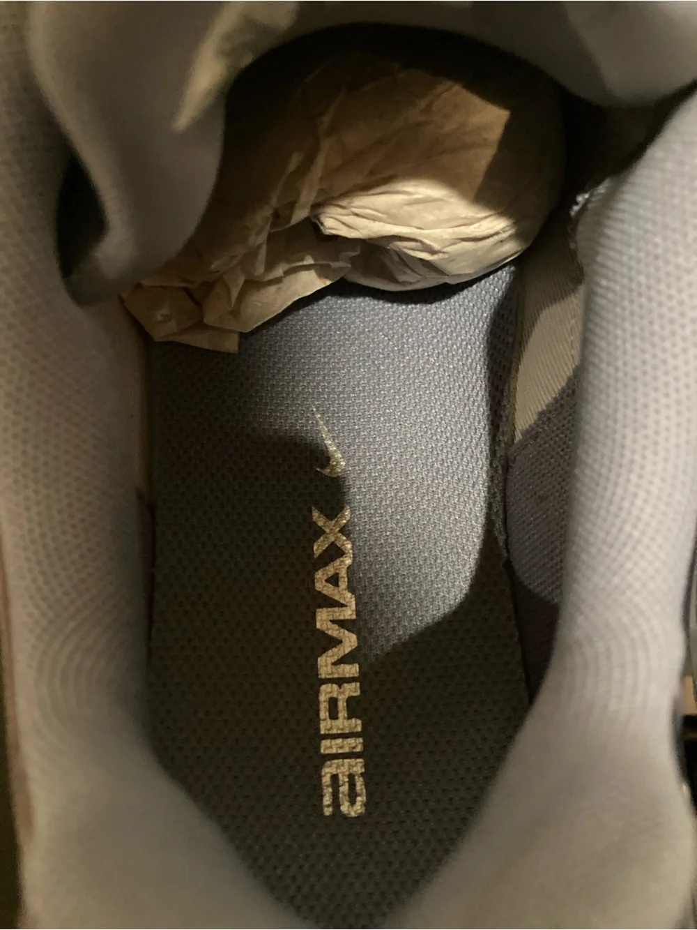 Nike Women’s Metallic Silver and Grey Runner Sneakers
